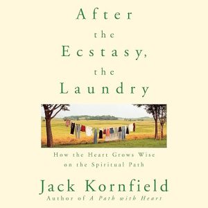 After the Ecstasy, the Laundry
