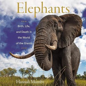 Elephants