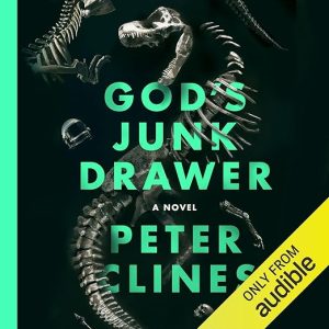 God’s Junk Drawer
