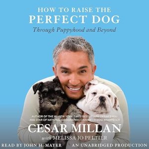 How to Raise the Perfect Dog
