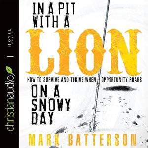 In a Pit With a Lion On a Snowy Day