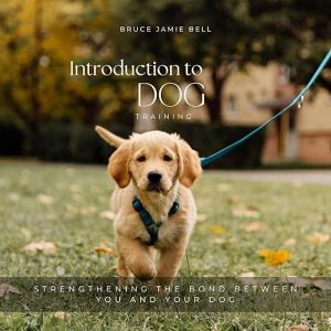 Introduction to Dog Training