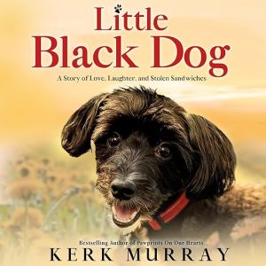 Little Black Dog
