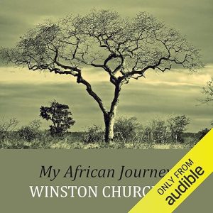 My African Journey
