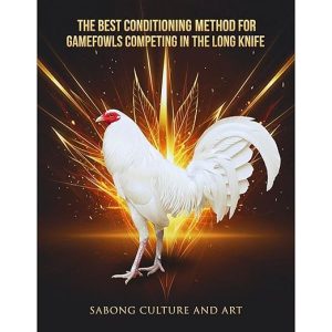 The Best Conditioning Method for Gamefowls Competing In the Long Knife