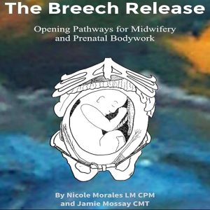The Breech Release