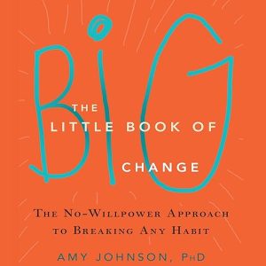 The Little Book of Big Change