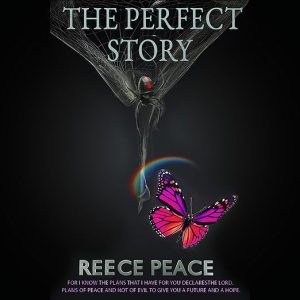 The Perfect Story