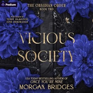 Vicious Society